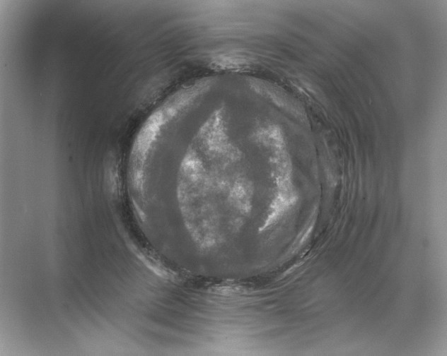 X0000071760408200607220015