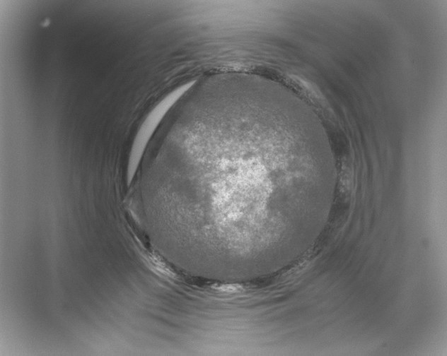 X0000071760409200607220015