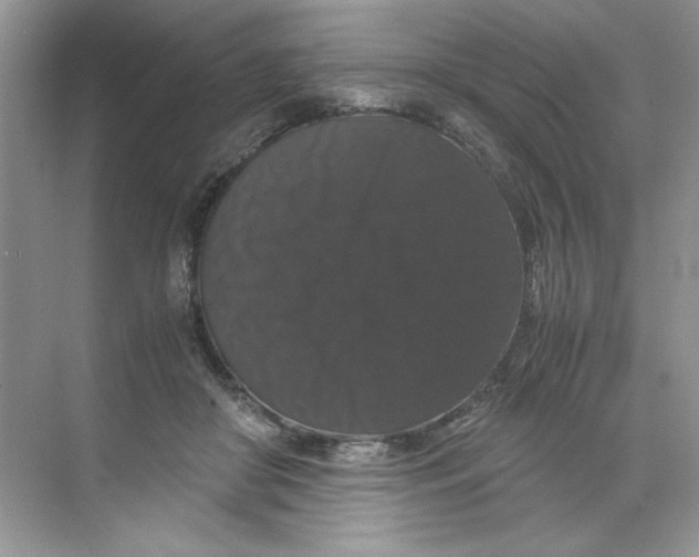 X0000071760410200607220015