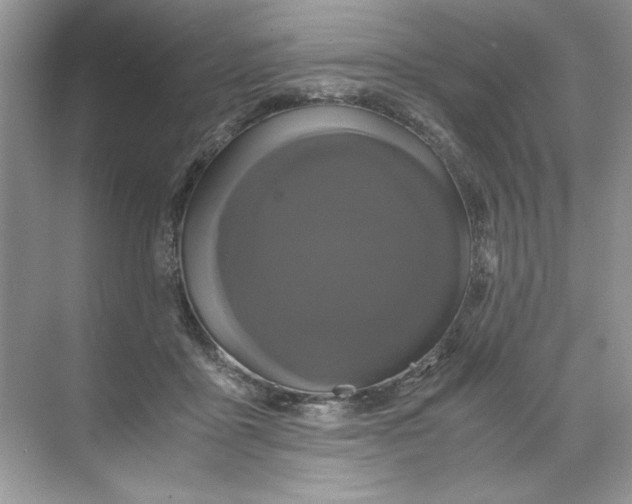 X0000071760411200607220015