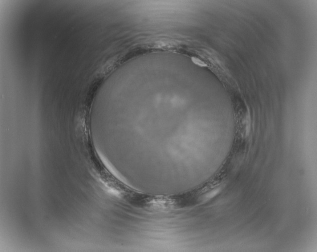 X0000071760415200607220015