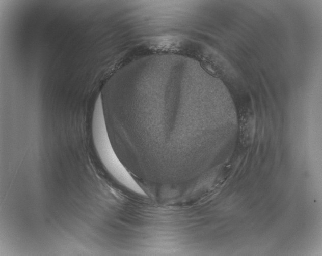 X0000071760416200607220015