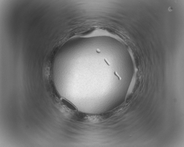 X0000071760417200607220015