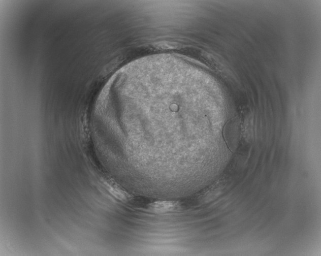 X0000071760418200607220015