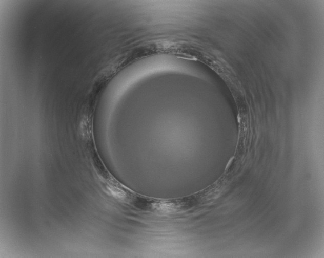 X0000071760419200607220015