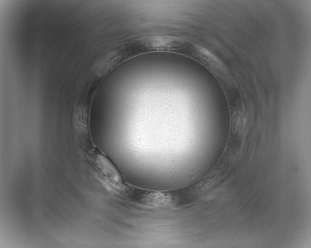 X0000071760421200607220015