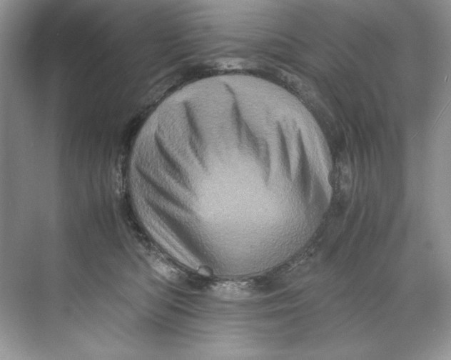 X0000071760422200607220015