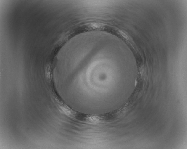 X0000071760423200607220015