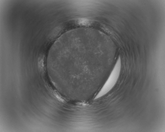 X0000071760424200607220014