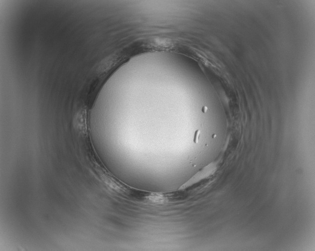 X0000071760425200607220014