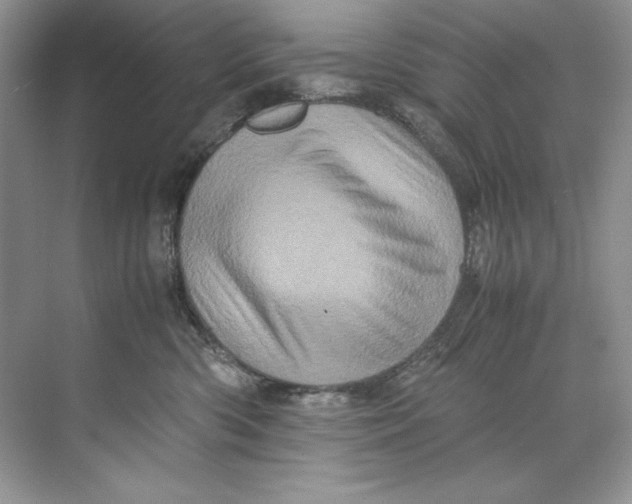 X0000071760426200607220014