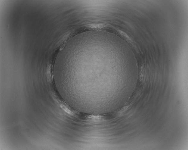 X0000071760428200607220014