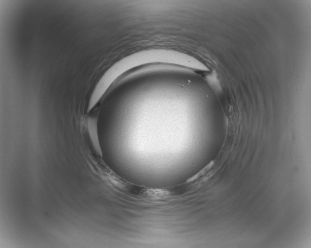 X0000071760429200607220014