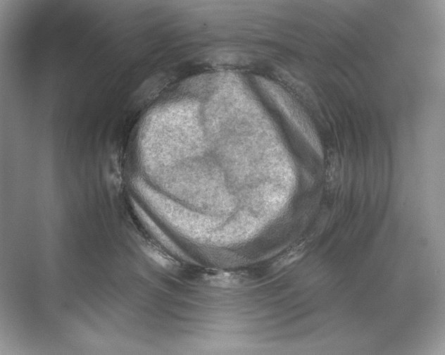 X0000071760430200607220014