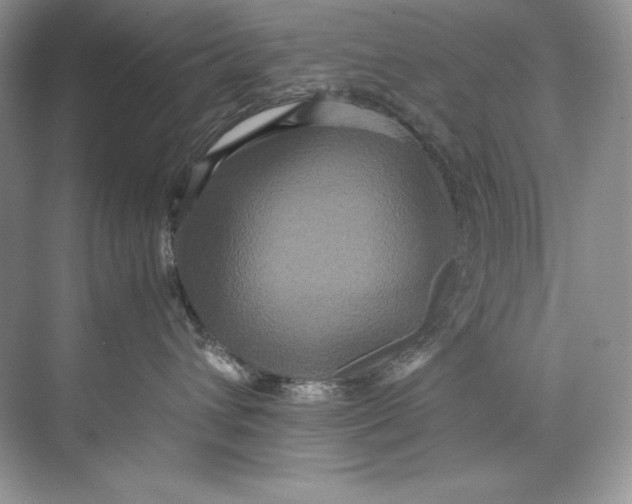 X0000071760432200607220014