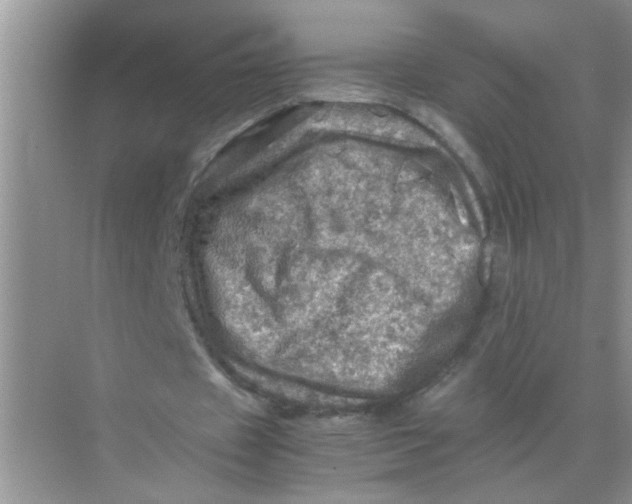 X0000071760433200607220014