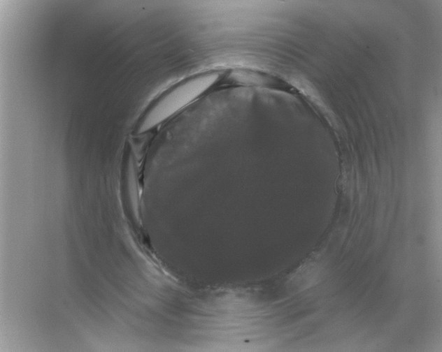 X0000071760434200607220014