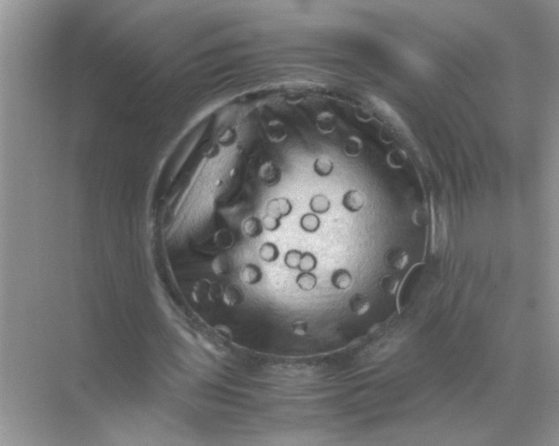 X0000071760435200607220014