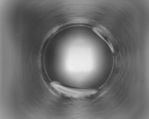 X0000071760436200607220014