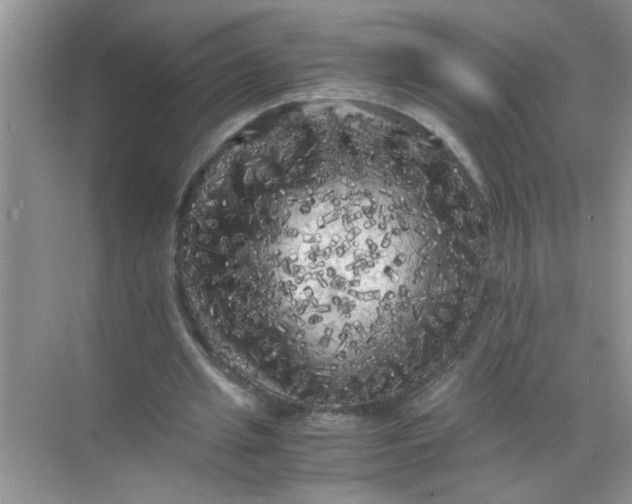 X0000071760437200607220014