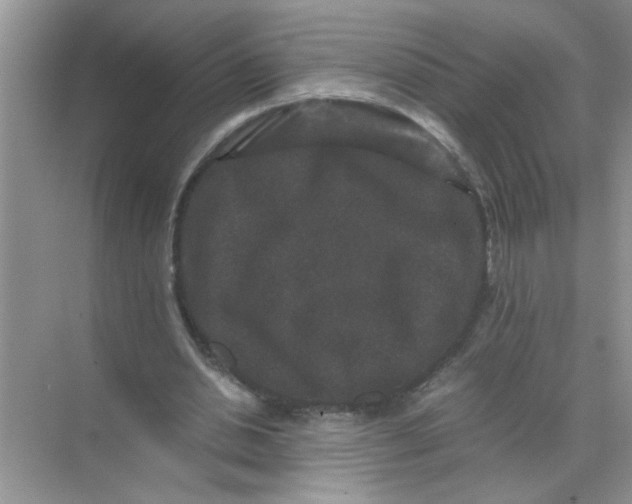 X0000071760438200607220014