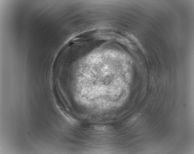 X0000071760439200607220014