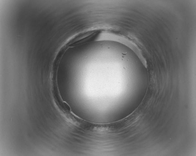 X0000071760440200607220014