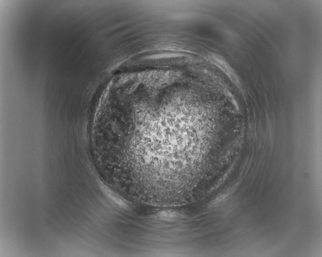 X0000071760441200607220014