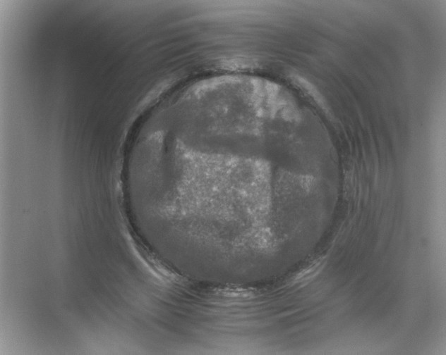 X0000071760443200607220014