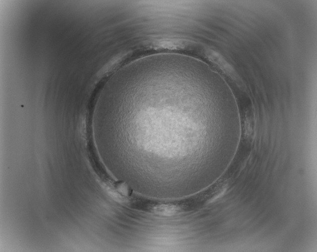 X0000071760444200607220014