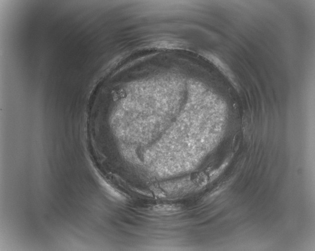 X0000071760445200607220014