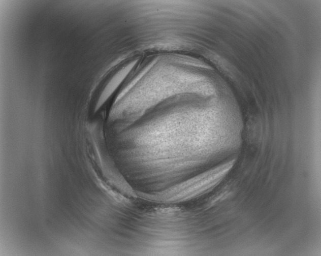 X0000071760446200607220014