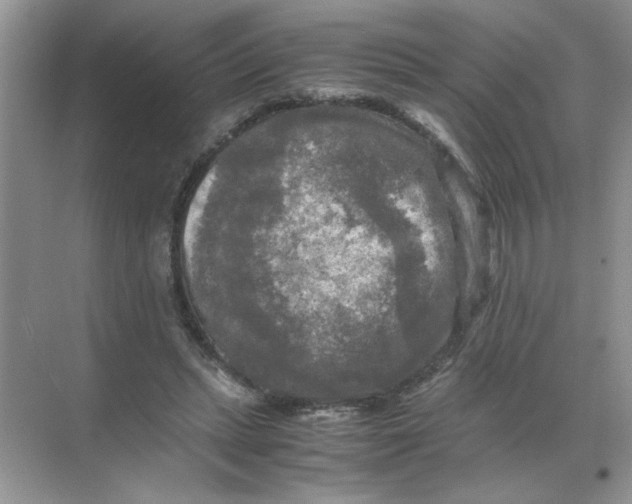 X0000071760447200607220014