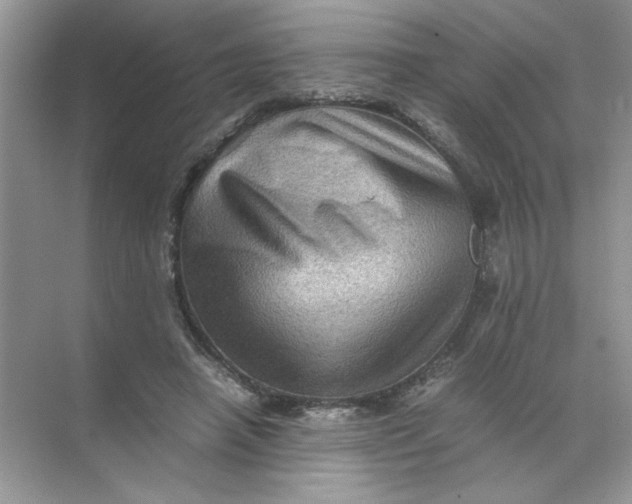 X0000071760450200607220014