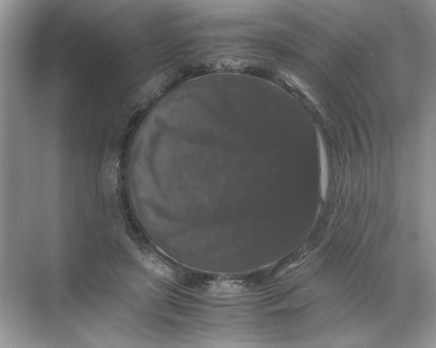 X0000071760451200607220014