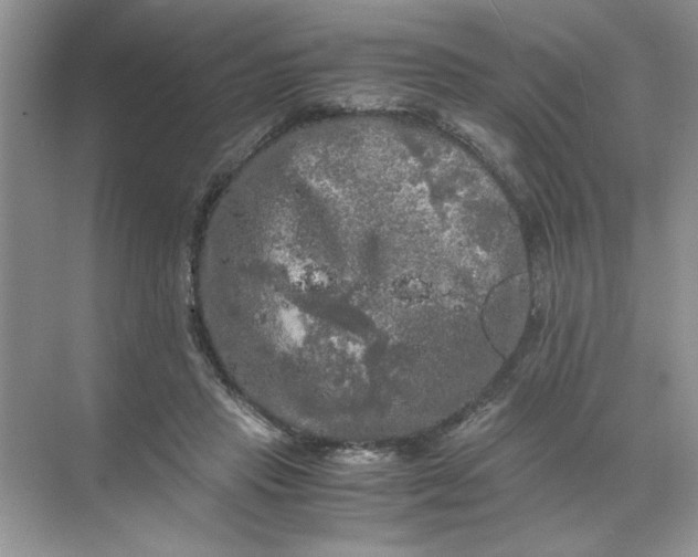 X0000071760453200607220014