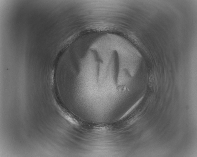 X0000071760454200607220014