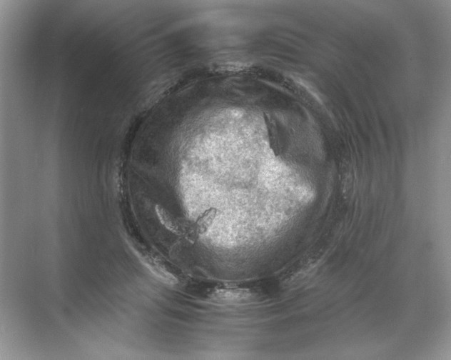 X0000071760455200607220014