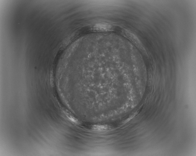 X0000071760457200607220014