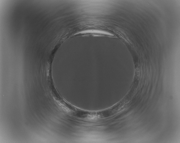 X0000071760458200607220014