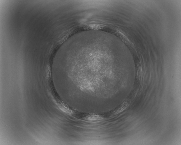 X0000071760459200607220014