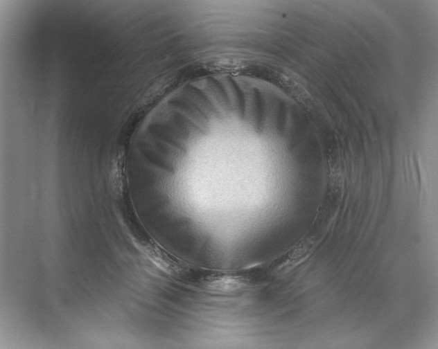 X0000071760460200607220014