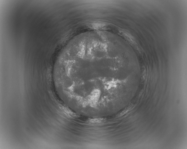 X0000071760461200607220014