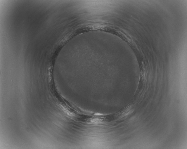 X0000071760462200607220014