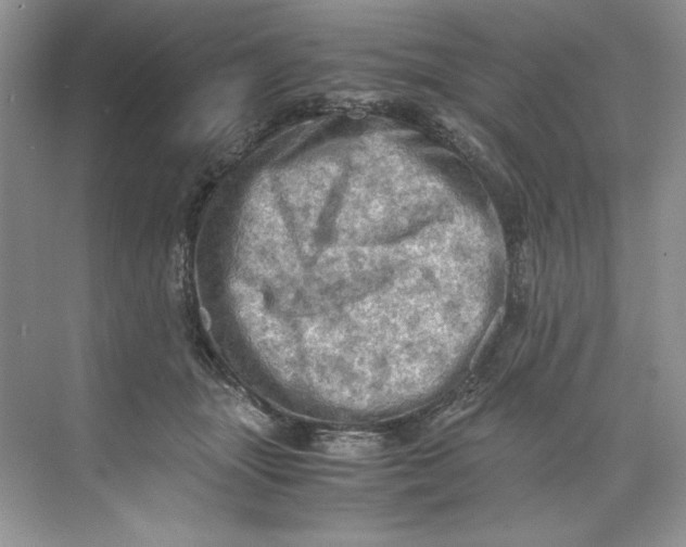 X0000071760463200607220014