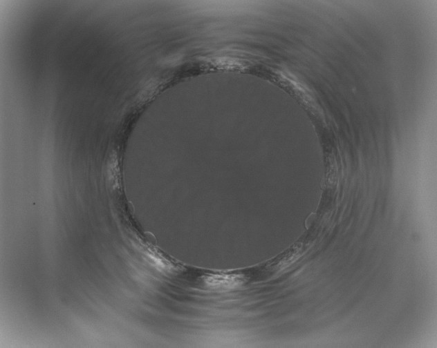 X0000071760465200607220014