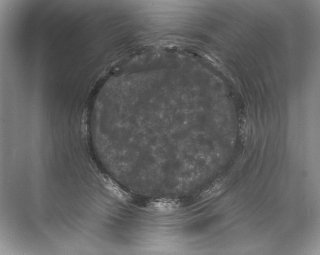 X0000071760466200607220014