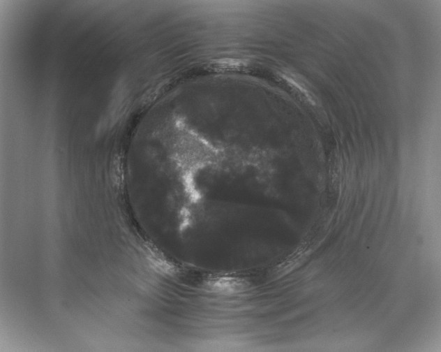 X0000071760467200607220014