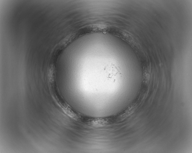 X0000071760468200607220014