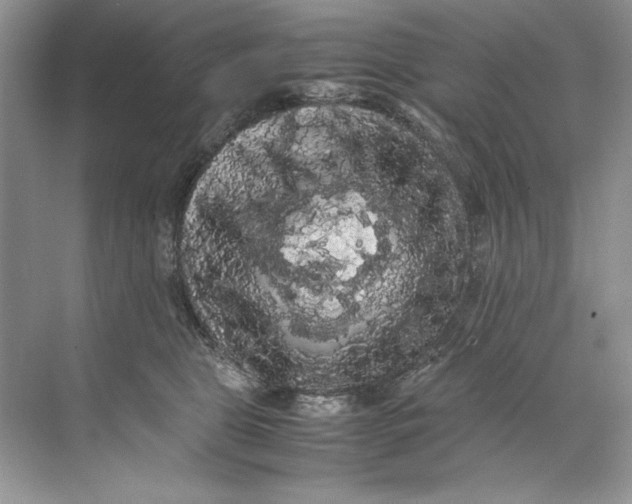 X0000071760469200607220014